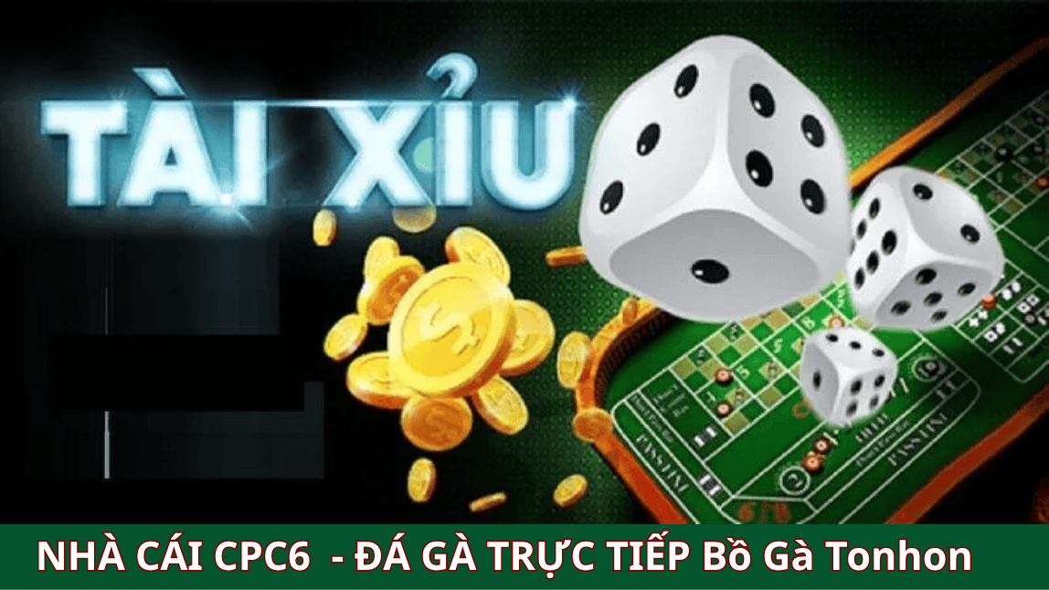 Mẹo chơi chẵn lẻ tài xỉu - CPC6 BỒ GÀ TONHON 