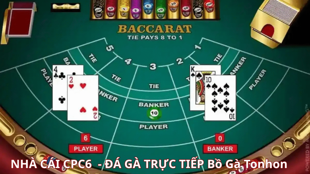 Tìm hiểu luật chơi bài Baccarat trực tuyến CPC6 BỒ GÀ TONHON