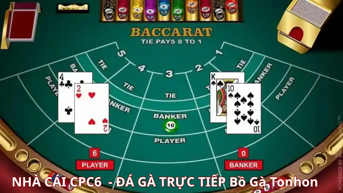 Tìm hiểu luật chơi bài Baccarat trực tuyến CPC6 BỒ GÀ TONHON