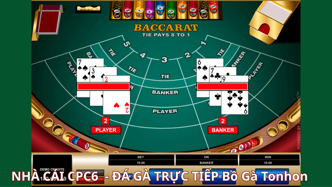 Quy định rút tiền khi chơi Baccarat - CPC6 BỒ GÀ TONHON