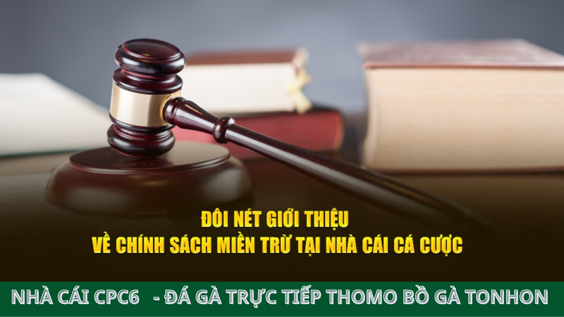 Quy định miễn trách nhiệm đối với người dùng - NHÀ CÁI CPC6 BÒ GÀ TONHON 