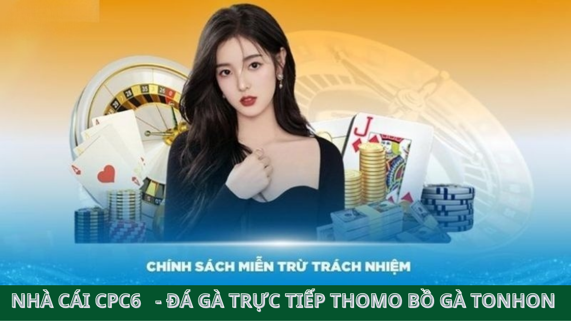 Trách nhiệm về quản lý, lưu trữ thông tin tài khoản - cpc6 bồ gà tonhon 