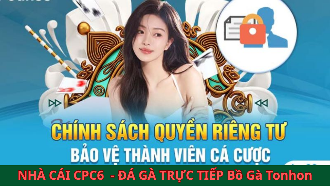 Thu thập thông tin là điều lệ cần nắm rõ - cpc6 bồ gà tonhon 