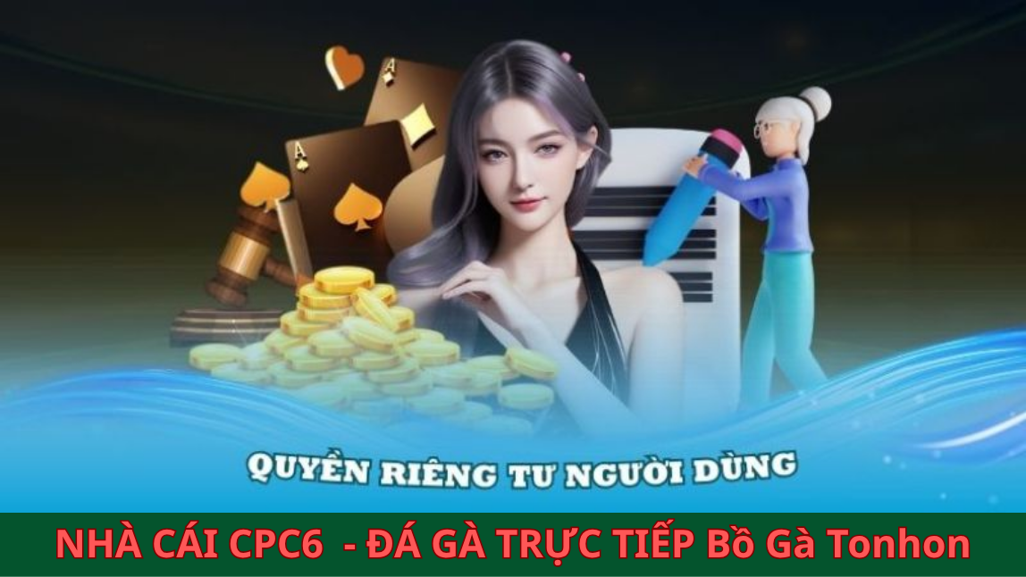 Tổng quan về những nội dung quy định quan trọng của nhà cái CPC6 BỒ GÀ TONHON 