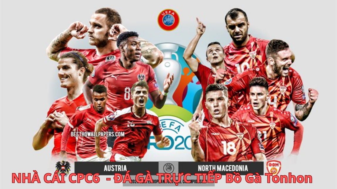 Sảnh cá cược thể thao với nhiều ưu điểm nổi bật - CPC6 BÒ GÀ TONHON 