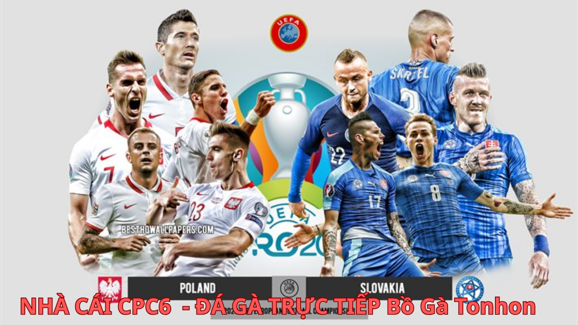 Bộ môn giải trí nổi bật thu hút số lượng anh em cá cược - CPC6 BỒ GÀ TONHON 