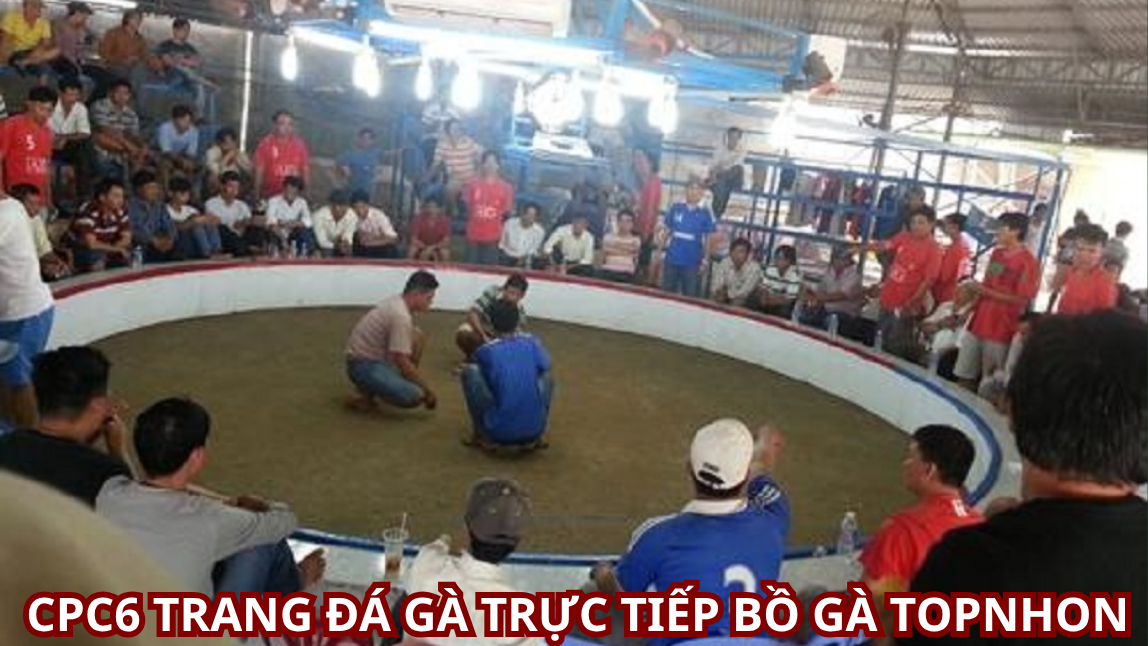 Bồ Gà CPC6: Giống Gà Đặc Sản Xứng Đáng Được Biết Đến