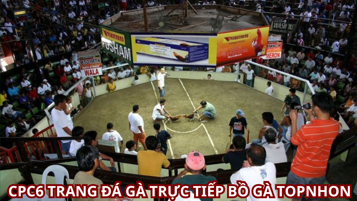 Quy Trình Chăn Nuôi Bồ Gà CPC6