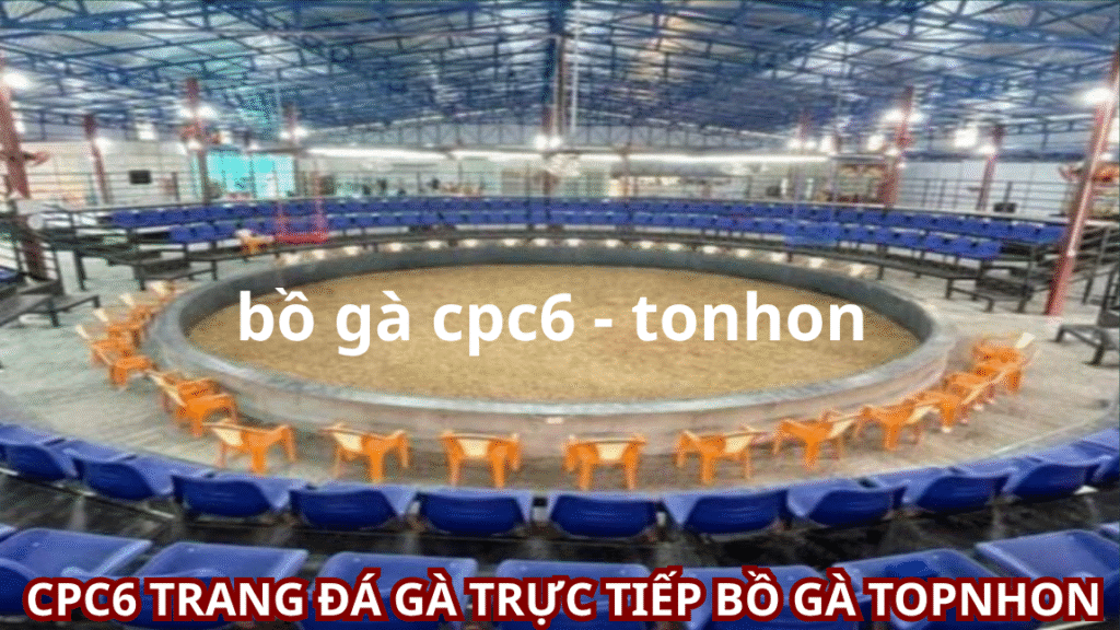 tải app đá gà bồ gà cpc6