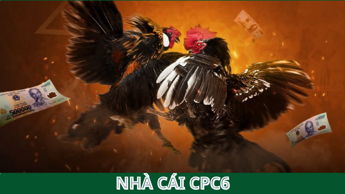 Những điều cần biết trước khi tham gia Đá Gà Trực Tiếp