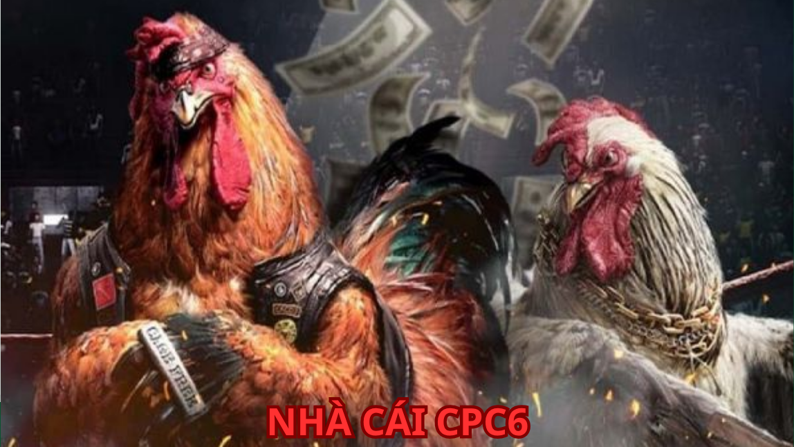 Những tâm sự của cộng đồng yêu thích đá gà