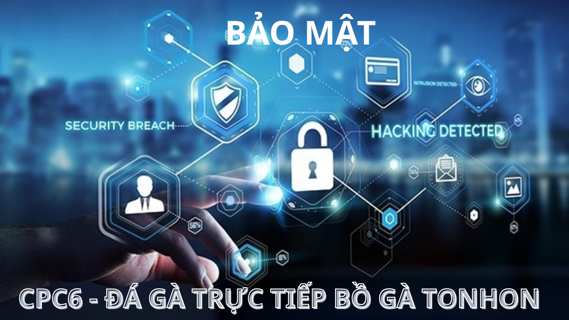 Bảo mật trong các giao dịch tại nhà cái cpc6 - bồ gà tonhon 