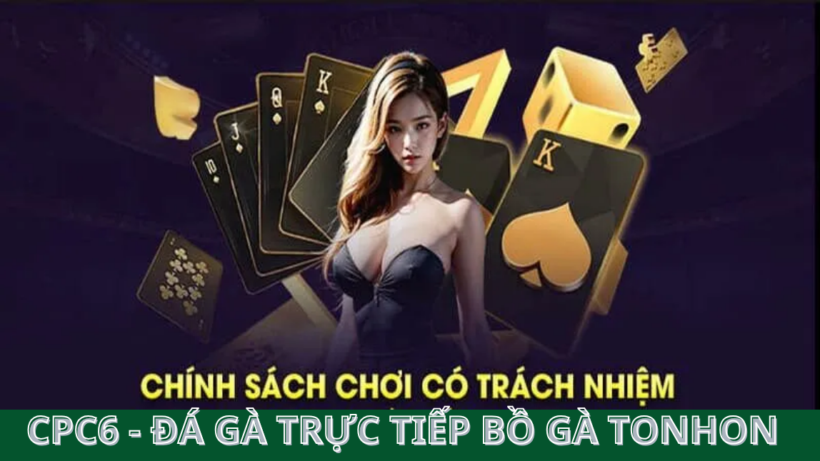 Thông tin chính xác để tham gia chơi có trách nhiệm - CPC6
