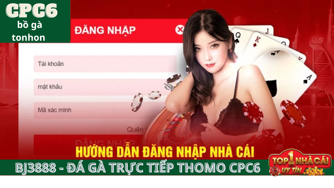 Đáp ứng đầy đủ điều kiện để có thể thực hiện đăng nhập an toàn CPC6 bồ gà tonhon 