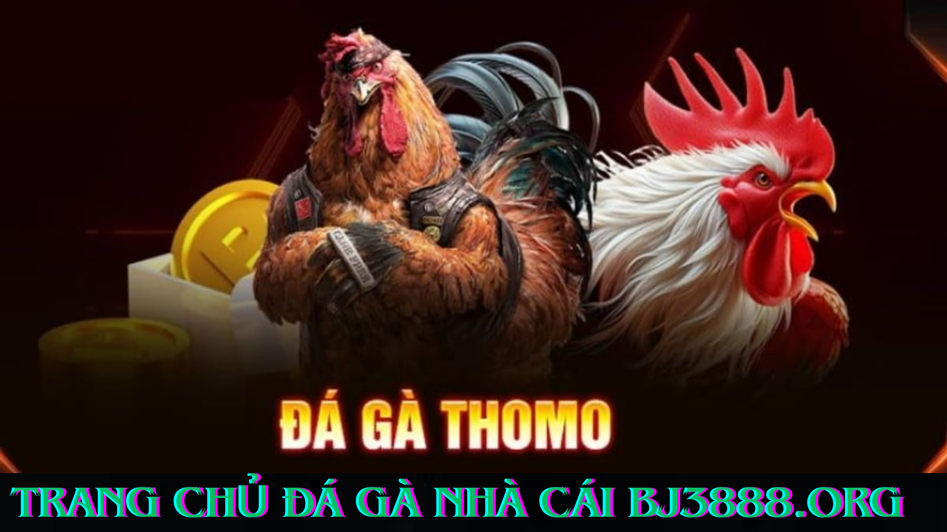 Trang Chủ Đá Gà Nhà Cái BJ3888.org Khám Phá Thế Giới Đá Gà Chuyên Nghiệp