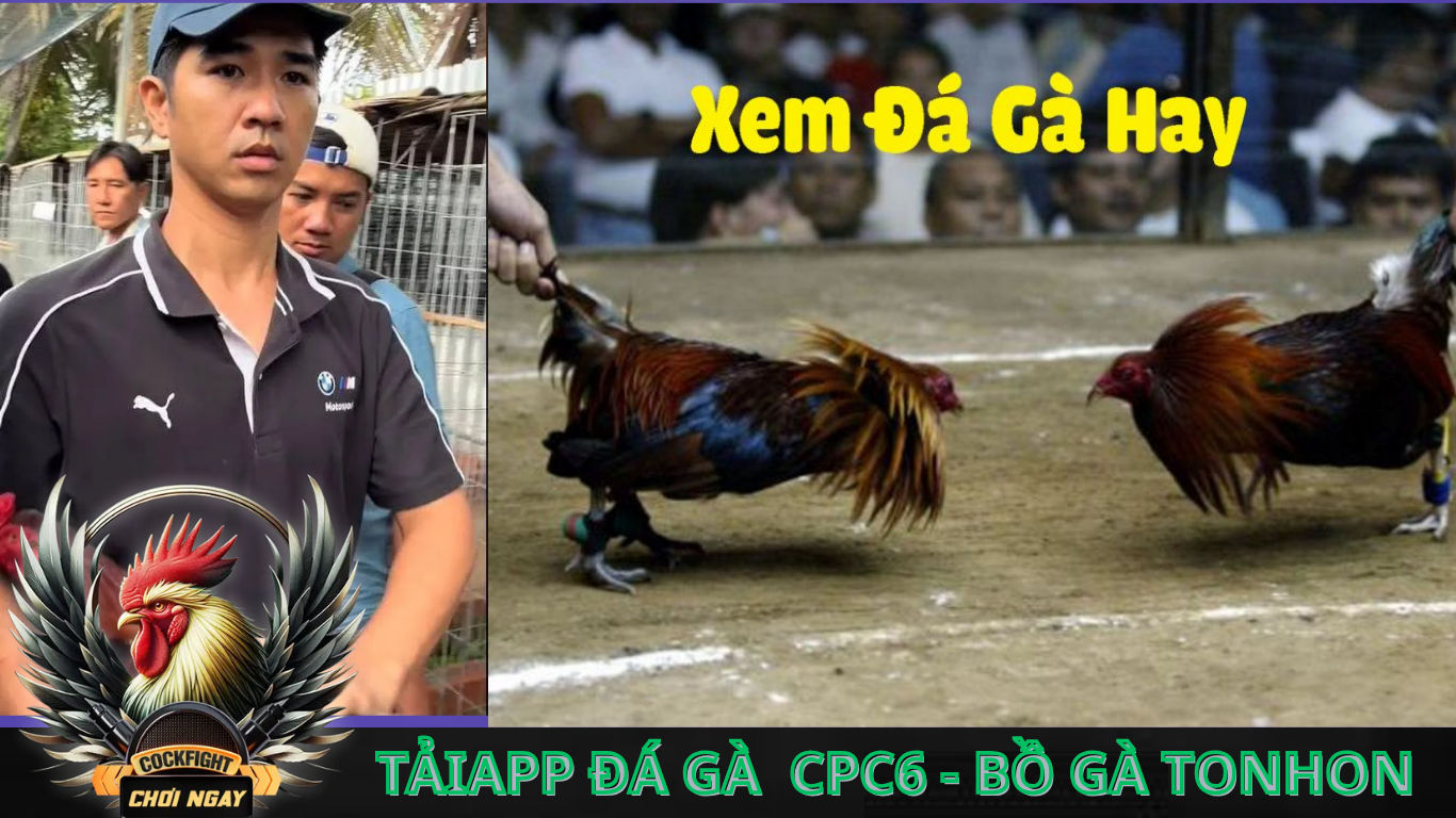 Cách Sử Dụng Ứng Dụng App  CPC6