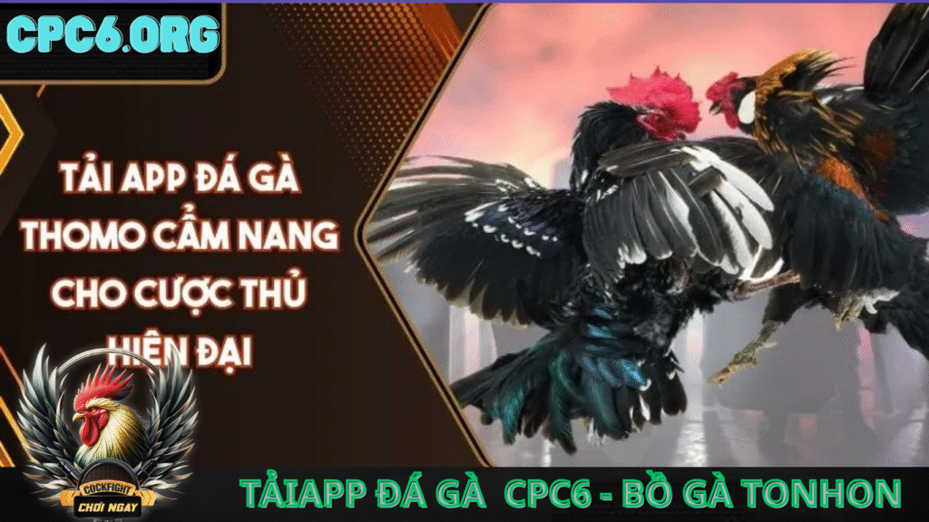 cpc6 trang chủ đá gà thomo trực tiếp bồ gà tonhon