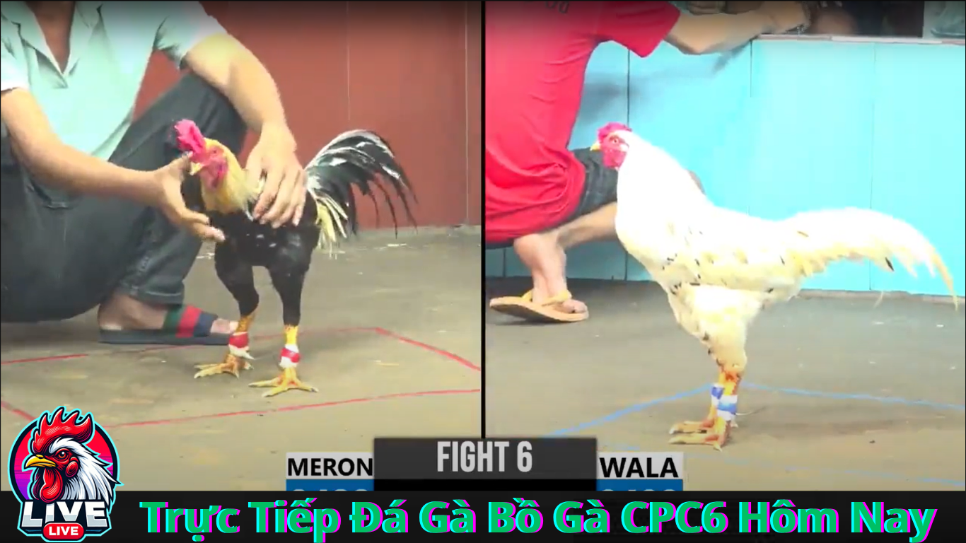 Cách tham gia Đăng Ký  cá cược tại CPC6 Online